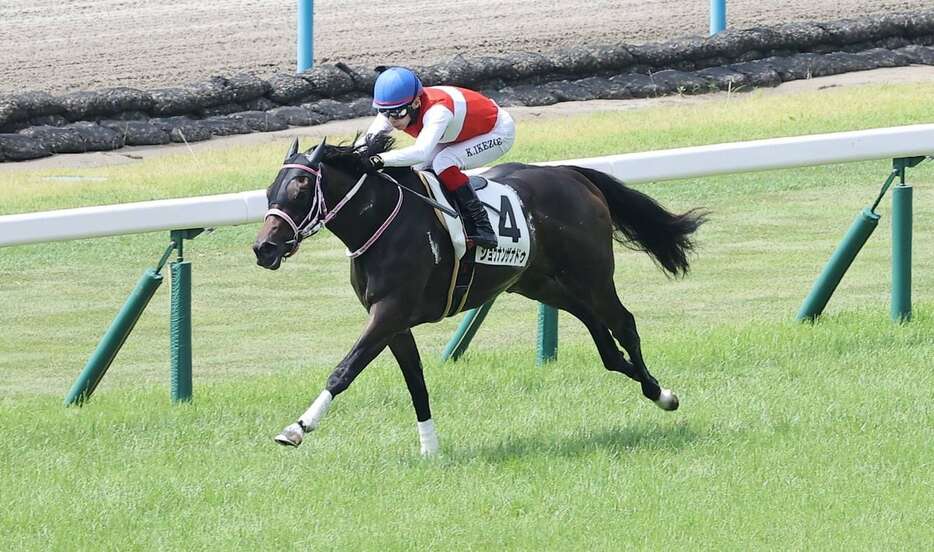 未勝利戦を5馬身差で圧勝したショウナンザナドゥ