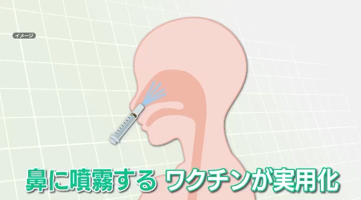 今シーズンから、鼻に噴霧するワクチンが実用化