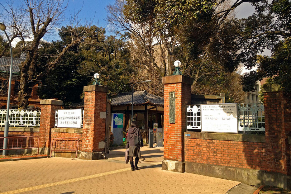 東京藝術大学