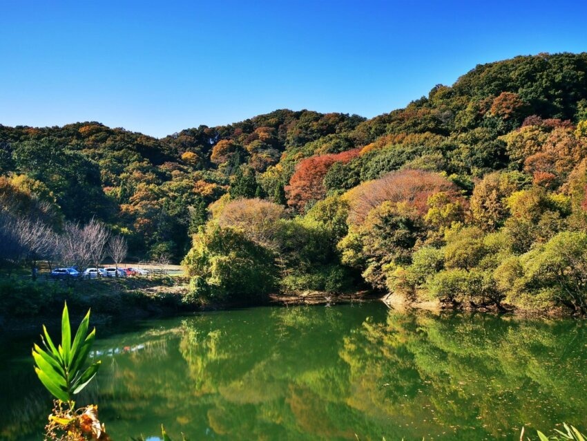 埼玉・鐘撞堂山(かねつきどうやま)