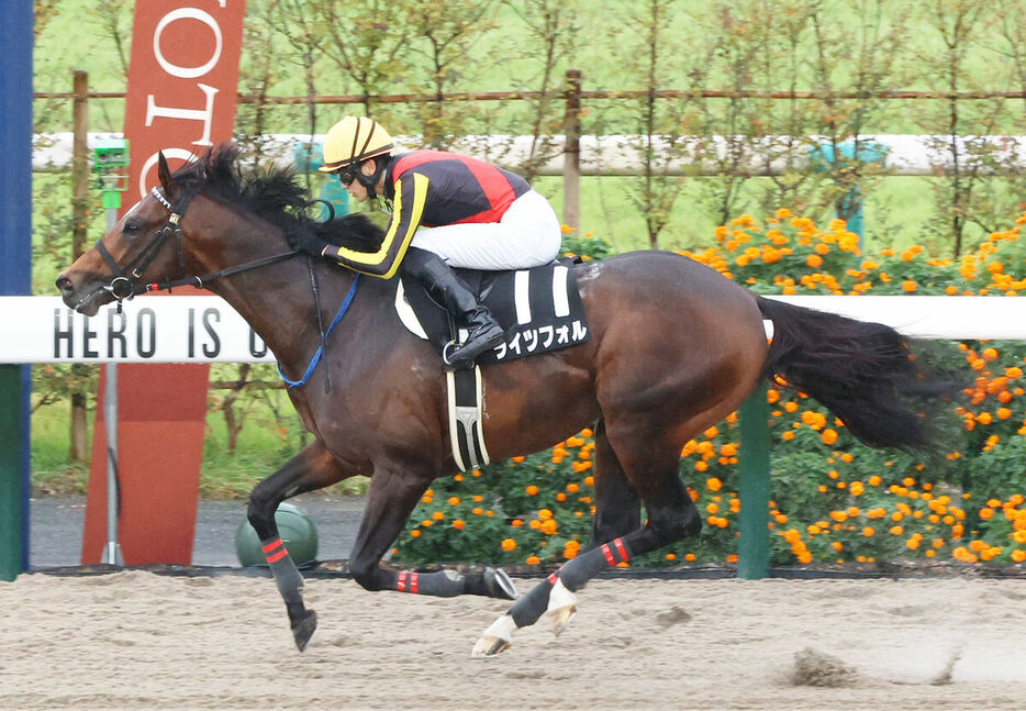 坂井瑠星騎手騎乗のライツフォルが直線で抜け出す（カメラ・高橋　由二）