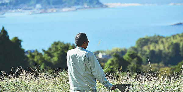 日本海を見晴らす田で麦の穂を見つめる椿原さん（石川県輪島市で）