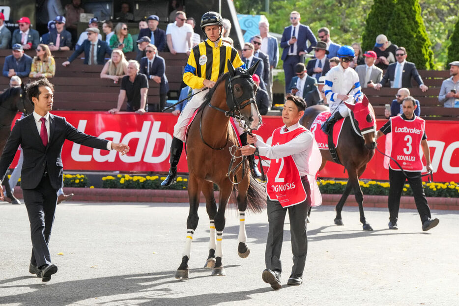 コックスプレート・プログノーシスとD.レーン騎手 (Photo by George Sal/Racing Photos)