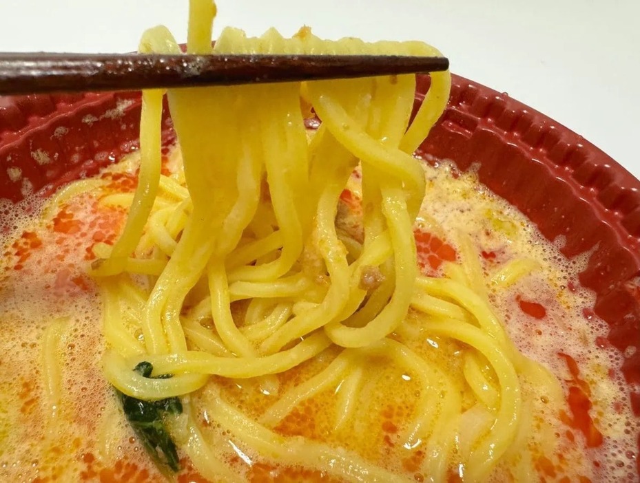 ニチレイフーズ「本当に旨い担々麺」の実力をレポート