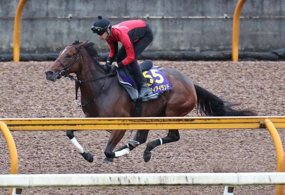 リバティアイランドはCWコースでシャープな伸びを披露した（撮影・安部光翁）