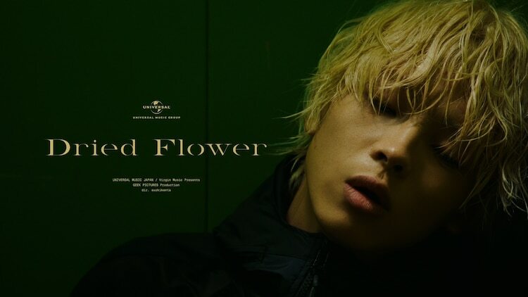 imase「Dried Flower」ミュージックビデオより。