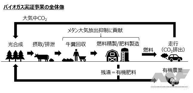 牛糞由来バイオガス燃料の事業サイクル（PHOTO：SUZUKI）