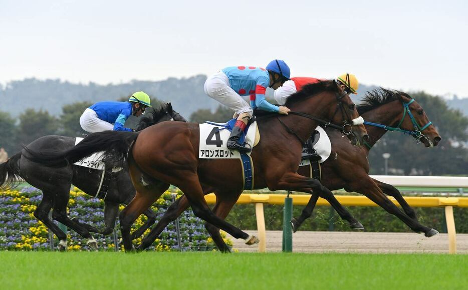 デビュー戦で4着に敗れたアロンズロッド＝26日、東京競馬場（撮影・奈良武）