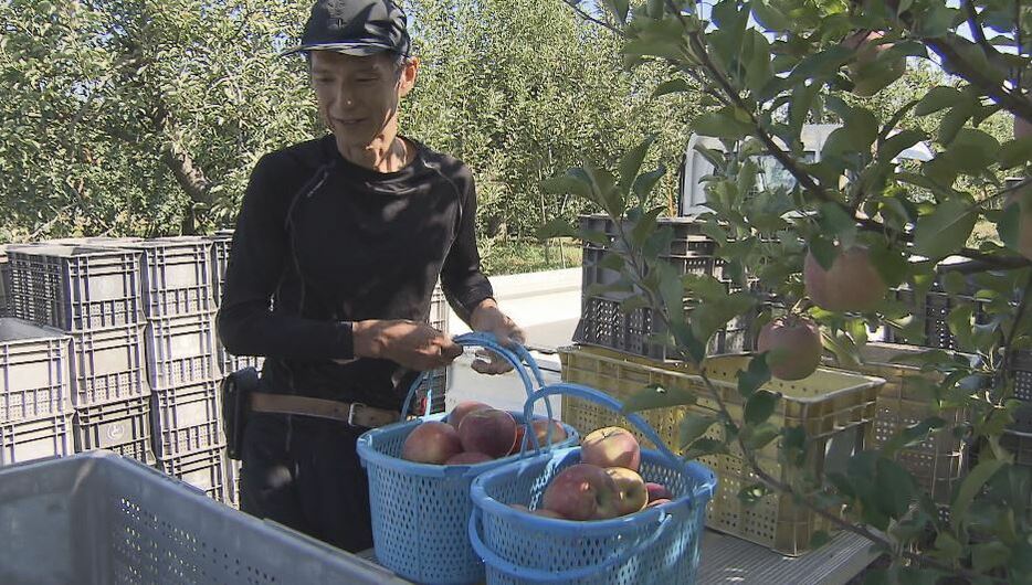 リンゴ栽培のノウハウを学ぶ 茂垣明徳さん