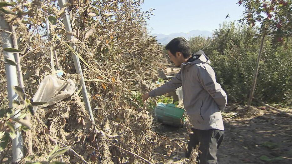 小滝さんの畑も泥水につかる（2019年）