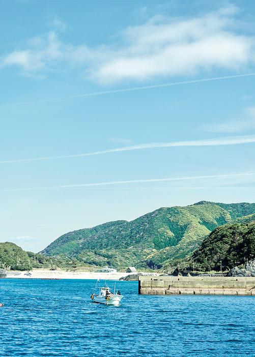 雨が多いほか、海や川など豊かな水質資源に恵まれた屋久島は60年以上前から島内の電力の99%を、40年前からは99.6％を水力発電でまかなう“脱炭素にいちばん近い島”。