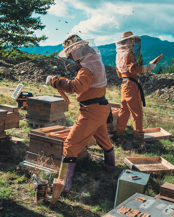 蜂蜜ブランド〈リムルベーン〉では、百森蜜やグラノーラの収益の一部を多様性の豊かな森づくりに投資。