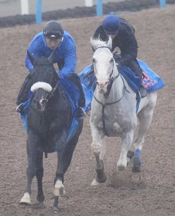 併せで追い切るハヤヤッコ（右）（撮影・村上大輔）