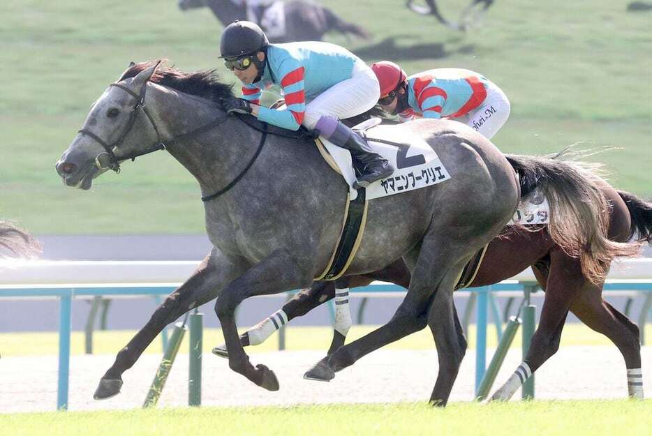 デビュー戦を差し切ったヤマニンブークリエと武豊騎手＝京都競馬場（撮影・安部光翁）