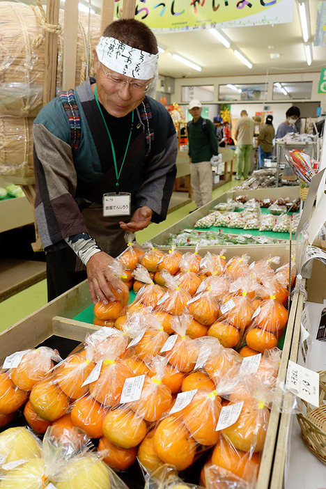 秋の味覚である庄内柿などの旬の果物や野菜が並んでいる＝酒田市山居町1丁目