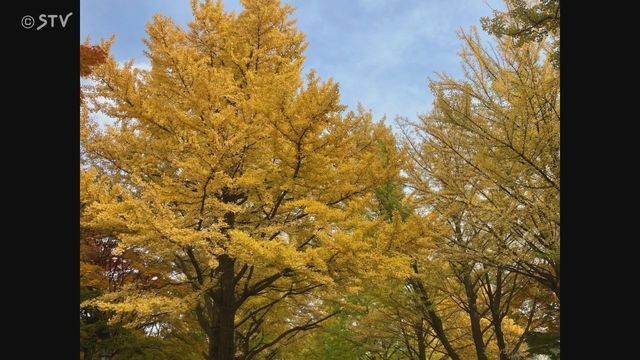 STVニュース北海道