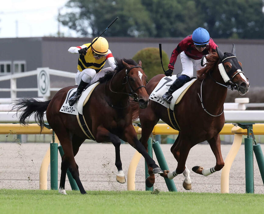 東京6R、2歳新馬戦を制したコルチェスターと戸崎騎手（左）（撮影・丹羽敏通）