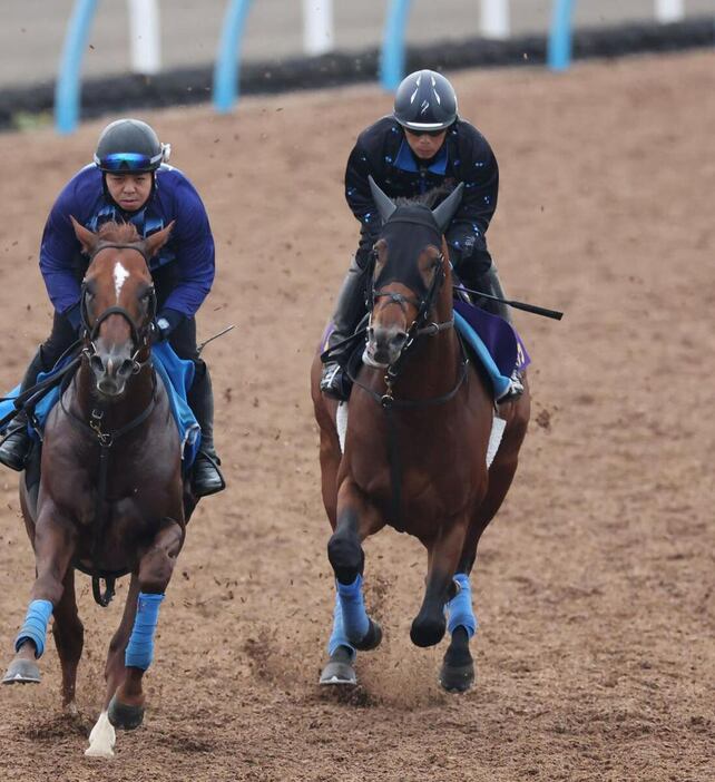 ホウオウビスケッツ（右）＝美浦トレセン（撮影・塩浦孝明）