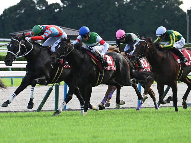 京都大賞典を制したシュヴァリエローズ(写真中、(c)netkeiba)