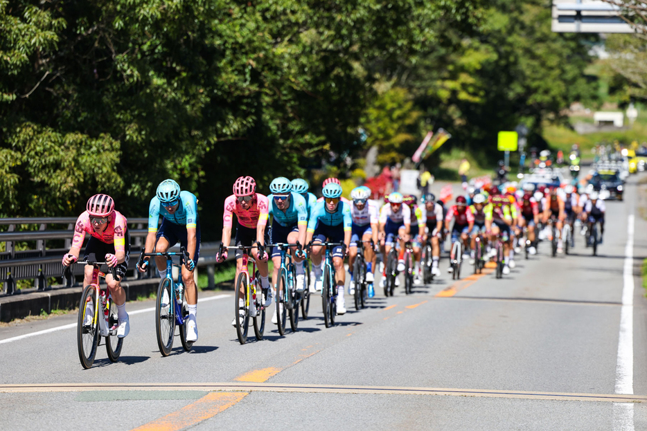 写真：Bicycle Club