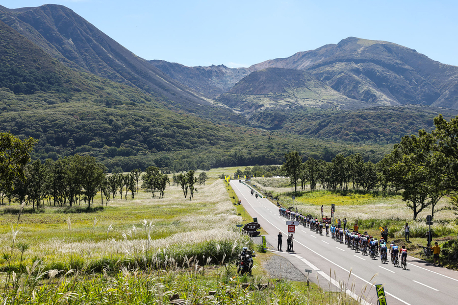 写真：Bicycle Club