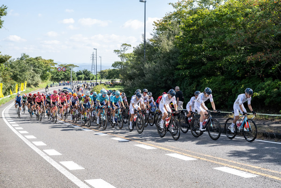 写真：Bicycle Club