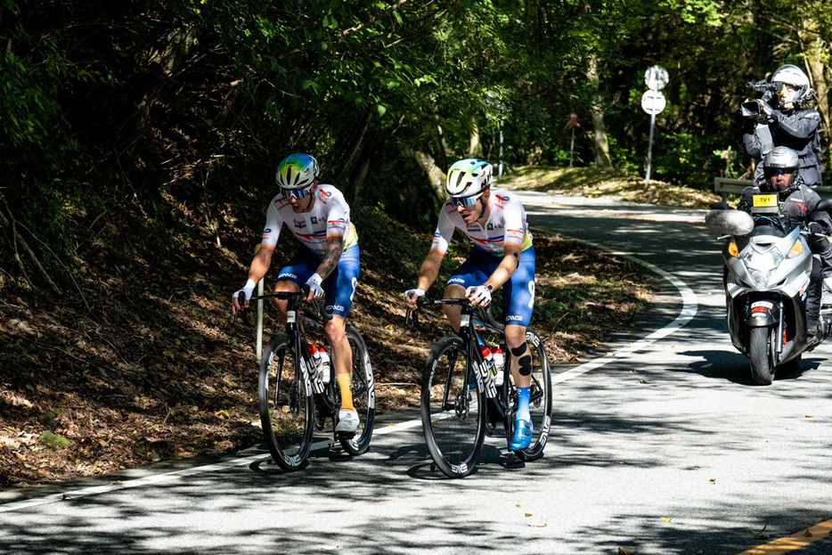 写真：Bicycle Club