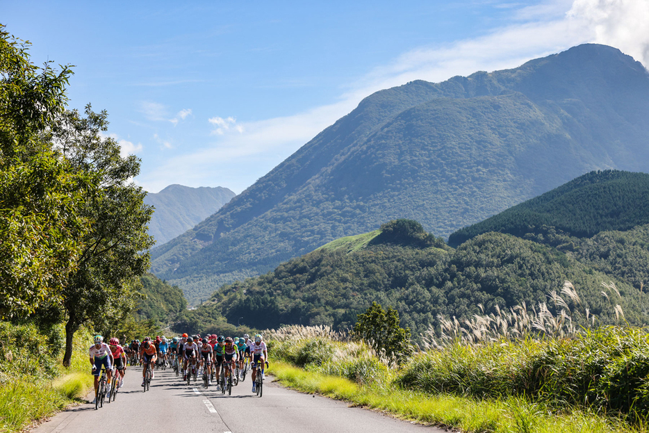 写真：Bicycle Club