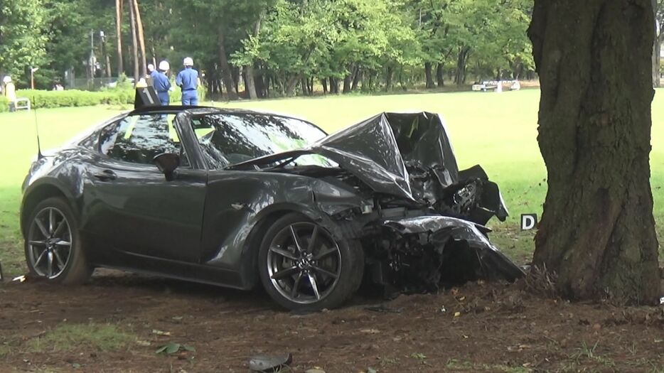 立ち木に衝突したスポーツカー