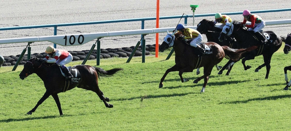 ＜清滝特別＞直線で抜け出すサブマリーナ（7）は2着に4馬身の大差をつけ勝利（撮影・奥　調）