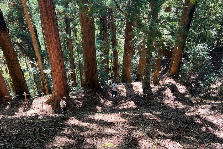 玉置神社本社から玉置山の山頂までは急勾配の階段の山道が続きます