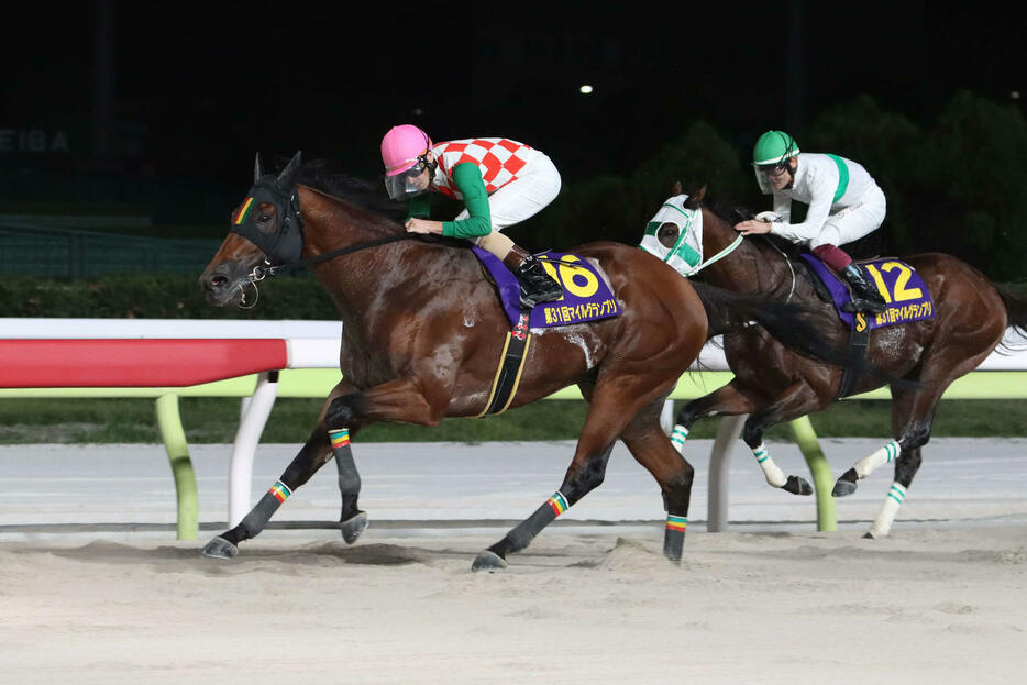 マイルグランプリを制したスマイルウィと矢野貴之騎手