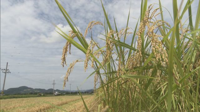 FBC福井放送