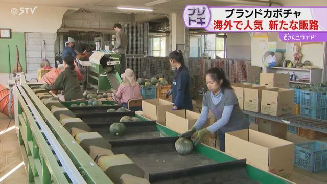 STVニュース北海道