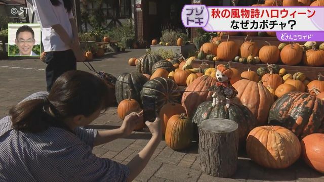 STVニュース北海道