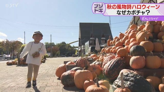 STVニュース北海道