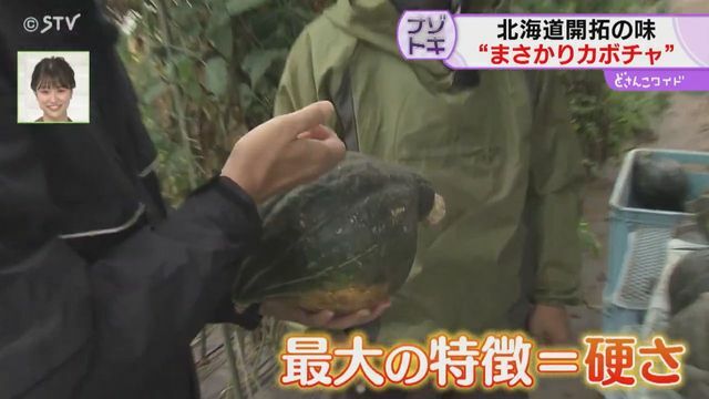 STVニュース北海道