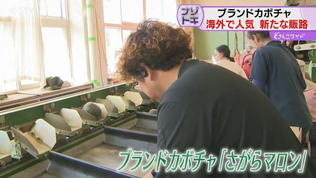 STVニュース北海道