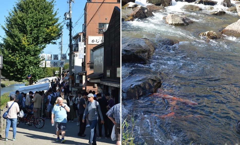 外国人観光客も多い宮川の朝市（左）、大きなコイが泳ぐ宮川