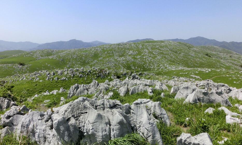 世界ジオパークへの推薦が決まった「Mine秋吉台」＝山口県美祢市（日本ジオパークネットワーク提供）