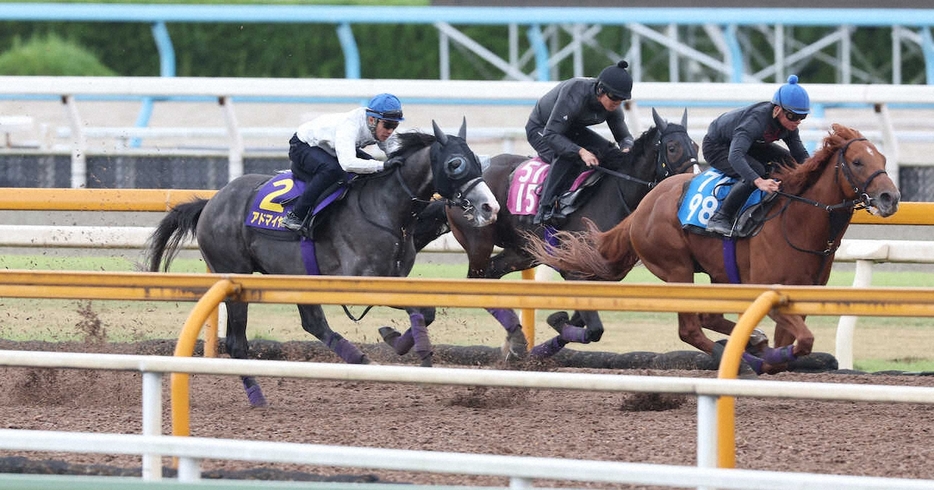 ＜菊花賞・1週前追い＞武豊騎手を背にCWコースにて3頭併せで追い切るアドマイヤテラ（左）（撮影・亀井　直樹）