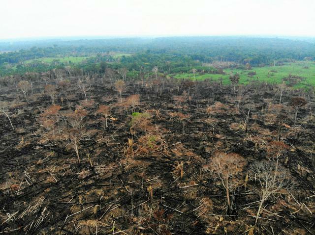 違法に焼かれたアマゾンの熱帯雨林=2021年