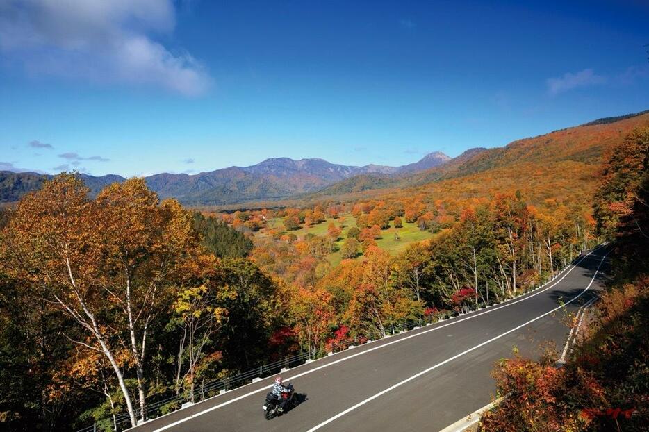 写真は新潟県道39号。道によっては11月中旬、下旬に冬期閉鎖となるところも…旅のプランは早めに！