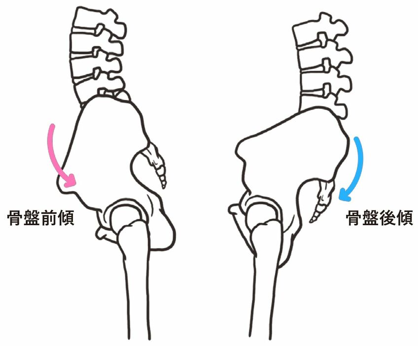 出所＝『すごい股関節 柔らかさ・なめらかさ・動かしやすさをつくる』（日経BP）