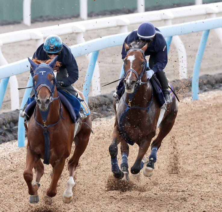 天皇賞・秋の追い切りを行ったソールオリエンス（右）＝美浦トレセン（撮影・塩浦孝明）