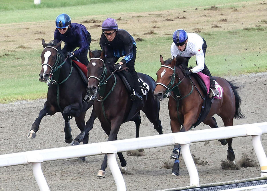 松山騎手を背にポリトラックを3頭併せで追い切るランスオブクイーン（左）（撮影・白石智彦）