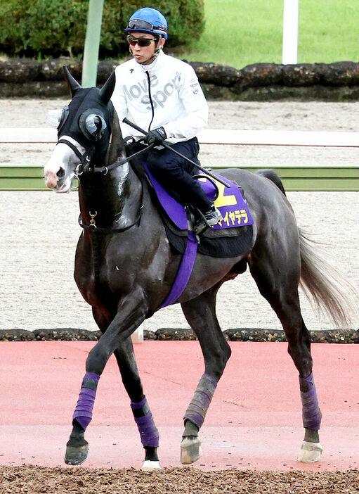 武豊はアドマイヤテラと初コンビ