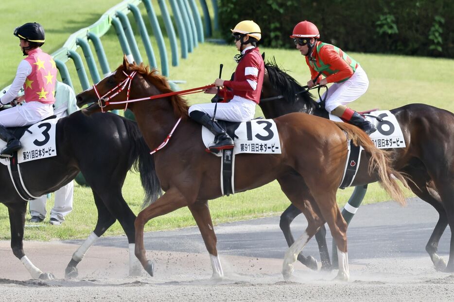 日本ダービー・シンエンペラーと坂井瑠星騎手