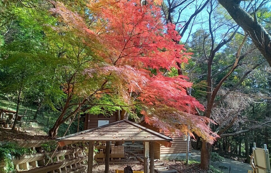 福岡・宗像城山