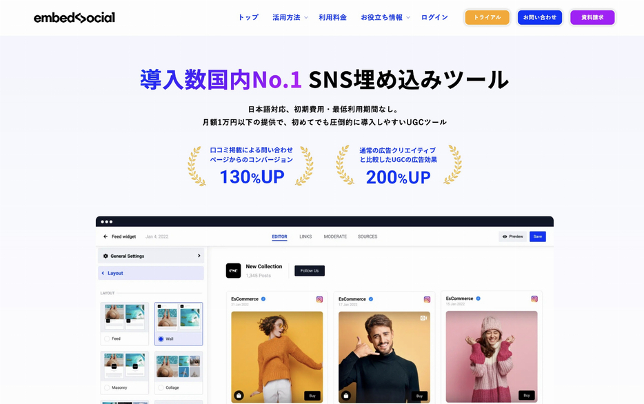 EmbedSocial Japanのサイトトップページ（EmbedSocial Japan提供）